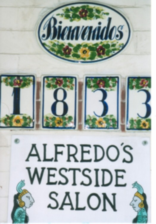 alfredo2.jpg